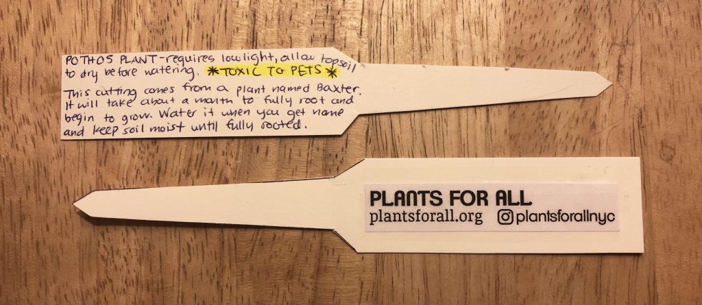 Photo documentation of "Plants For All" by Katie Pulles
